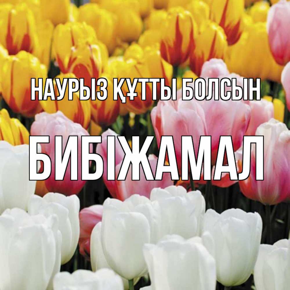Күн сайын ашық хат с именем, БИБІЖАМАЛ Наурыз құтты болсын разноцветные цветы Онлайн тегін жүктеп алу тілектері бар керемет карта 