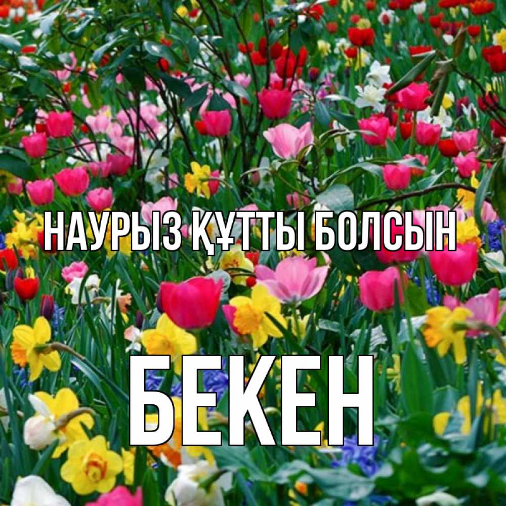 Күн сайын ашық хат с именем, Бекен Наурыз құтты болсын с наурызом поздравления для женщины Онлайн тегін жүктеп алу тілектері бар керемет карта 