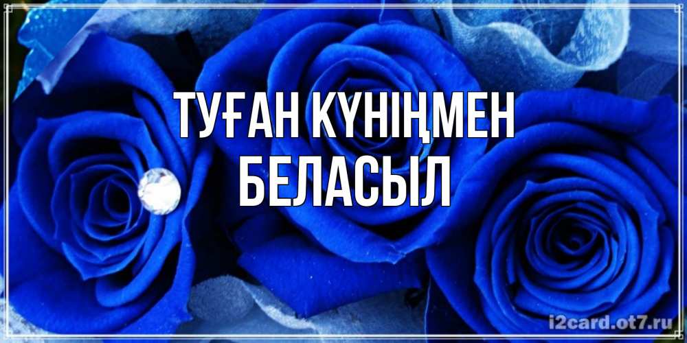 Күн сайын ашық хат с именем, Беласыл Туған күніңмен синие розы в росе Онлайн тегін жүктеп алу тілектері бар керемет карта 