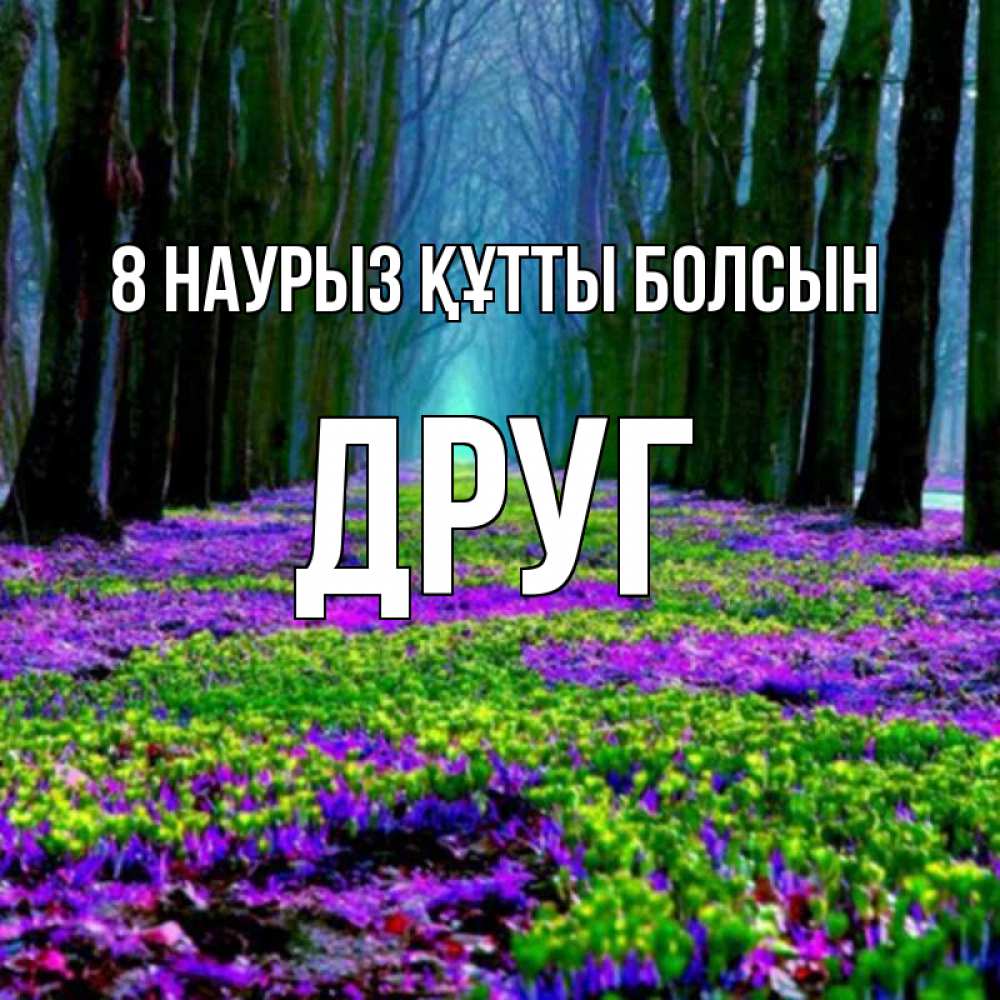 Күн сайын ашық хат с именем, Друг 8 наурыз құтты болсын фиолетовые цветы в лесу 1 Онлайн тегін жүктеп алу тілектері бар керемет карта 
