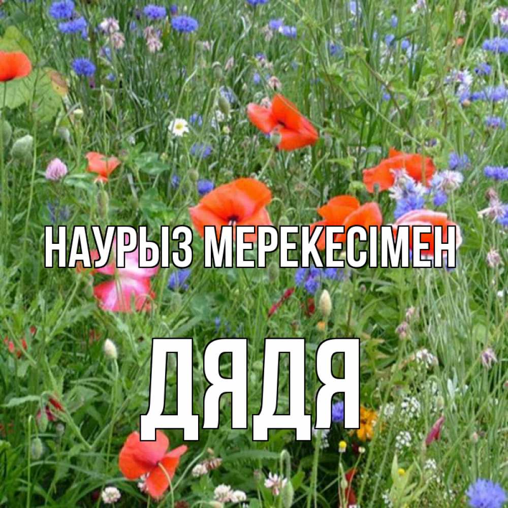 Күн сайын ашық хат с именем, Дядя Наурыз мерекесімен праздник весны наурыз супер открытка Онлайн тегін жүктеп алу тілектері бар керемет карта 