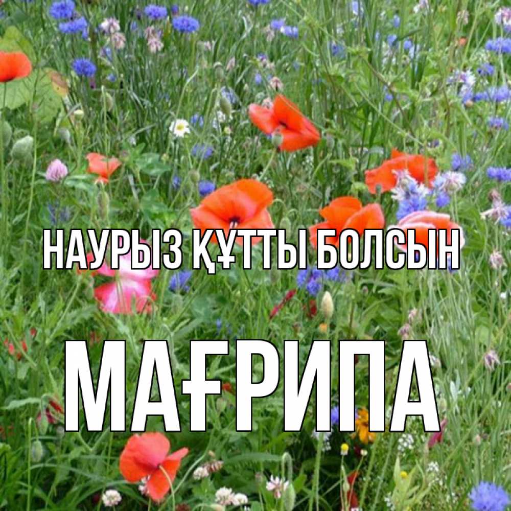 Күн сайын ашық хат с именем, МАҒРИПА Наурыз құтты болсын наурыз  4 Онлайн тегін жүктеп алу тілектері бар керемет карта 