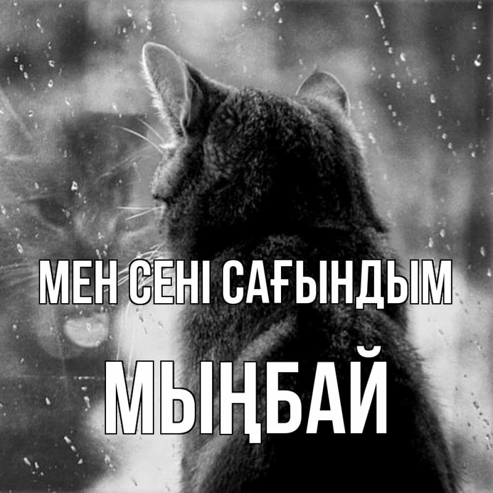 Күн сайын ашық хат с именем, МЫҢБАЙ Мен сені сағындым скорее ко мне приходи 1 Онлайн тегін жүктеп алу тілектері бар керемет карта 