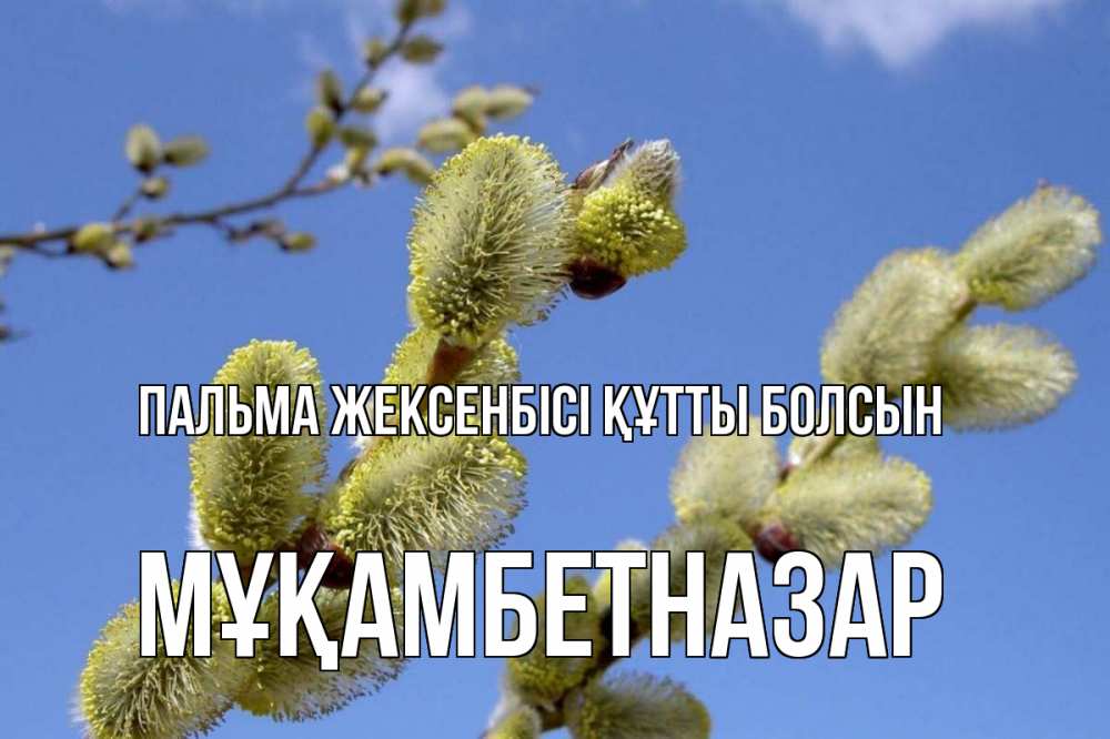 Күн сайын ашық хат с именем, Мұқамбетназар Пальма жексенбісі құтты болсын верба Онлайн тегін жүктеп алу тілектері бар керемет карта 