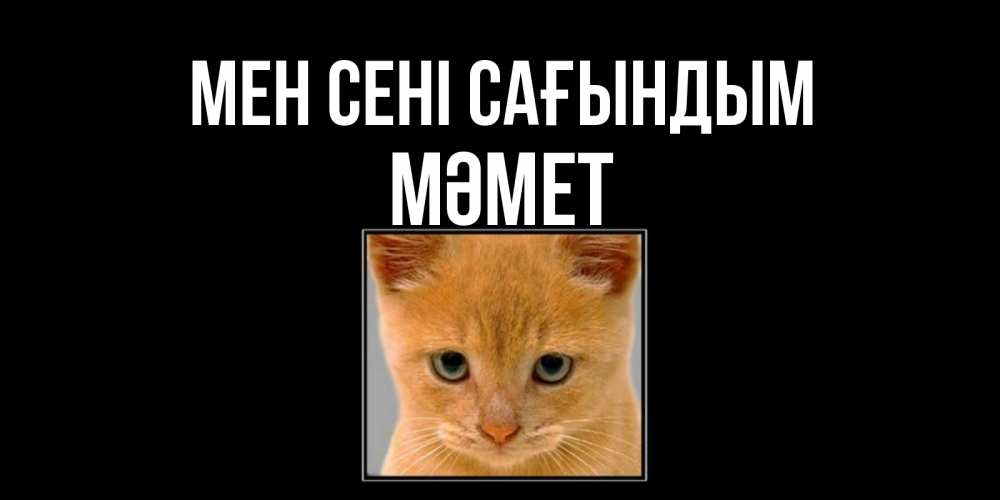 Күн сайын ашық хат с именем, Мәмет Мен сені сағындым открытки рыжий котенок скучает по тебе Онлайн тегін жүктеп алу тілектері бар керемет карта 
