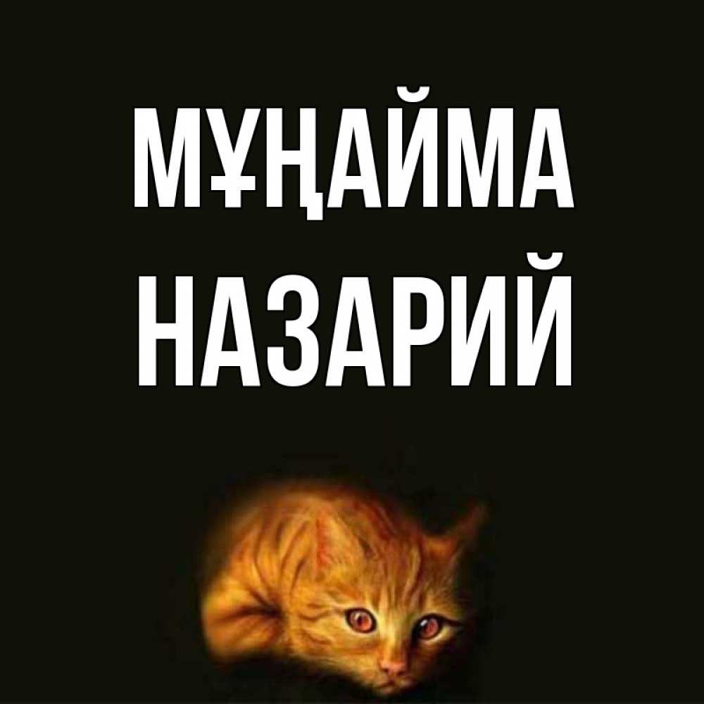 Күн сайын ашық хат с именем, Назарий Мұңайма лежащий кот в темноте Онлайн тегін жүктеп алу тілектері бар керемет карта 