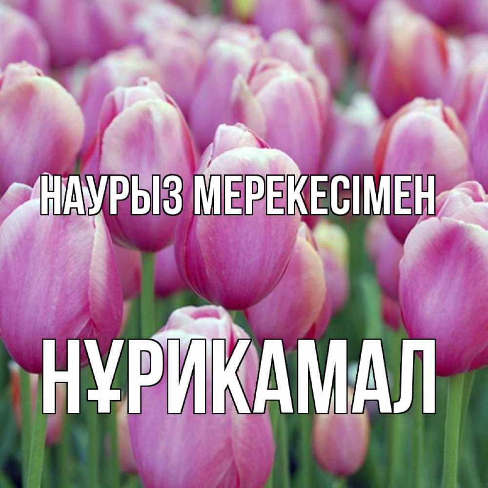 Күн сайын ашық хат с именем, НҰРИКАМАЛ Наурыз мерекесімен праздник весны наурыз 69 Онлайн тегін жүктеп алу тілектері бар керемет карта 