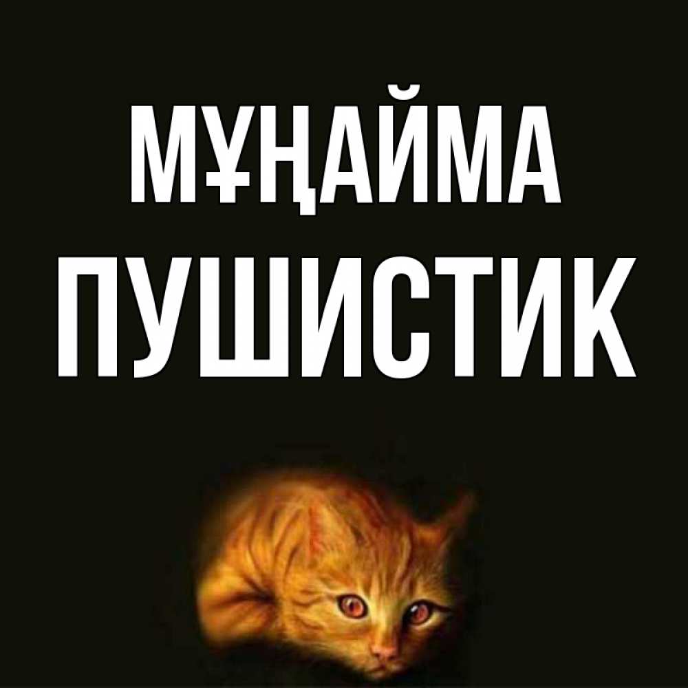 Күн сайын ашық хат с именем, Пушистик Мұңайма лежащий кот в темноте Онлайн тегін жүктеп алу тілектері бар керемет карта 