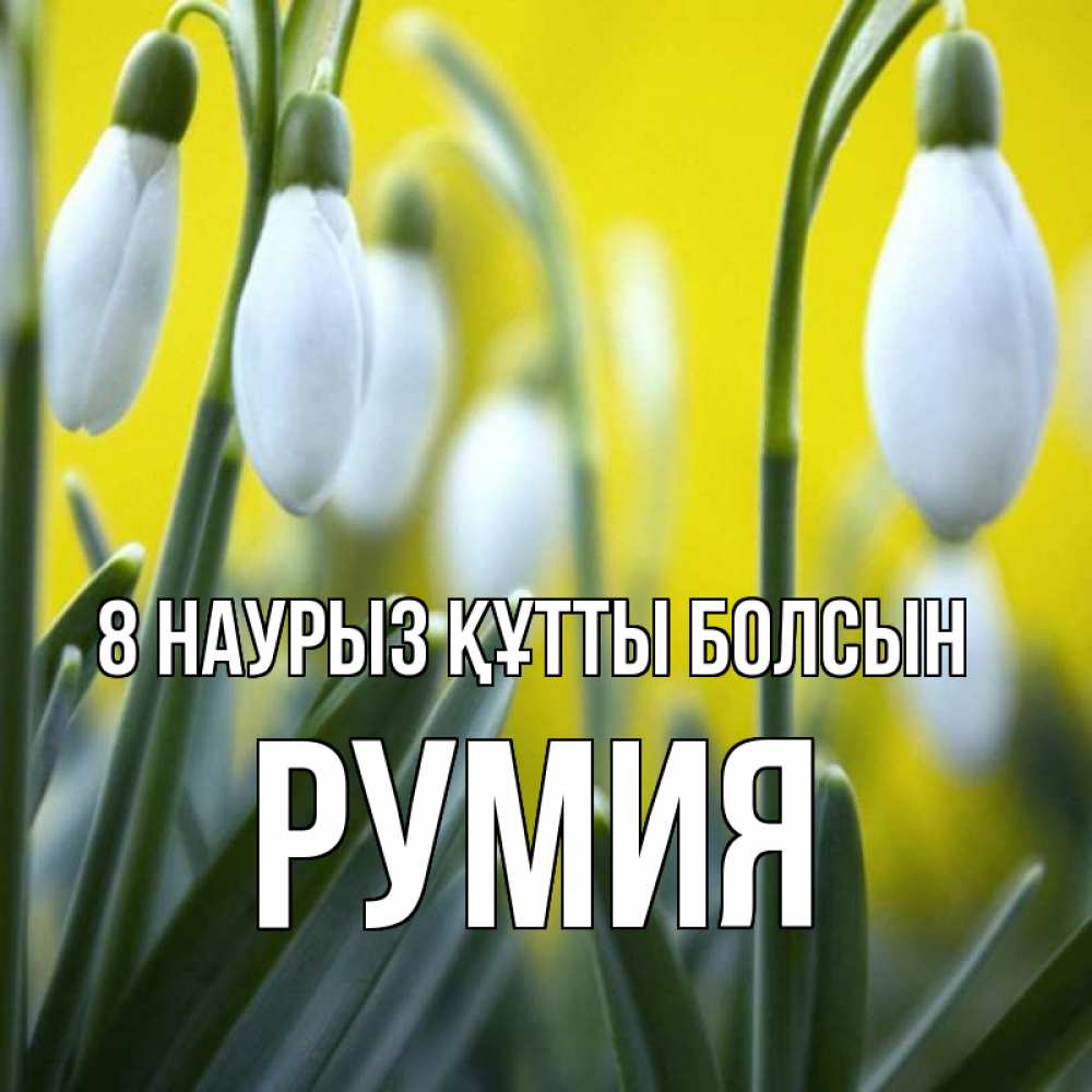 Күн сайын ашық хат с именем, Румия 8 наурыз құтты болсын весенние цветы Онлайн тегін жүктеп алу тілектері бар керемет карта 