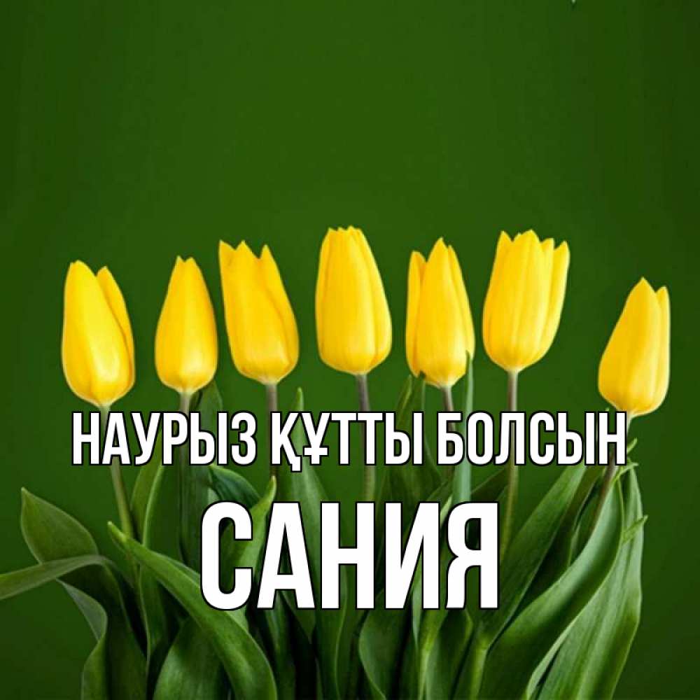 Күн сайын ашық хат с именем, Сания Наурыз құтты болсын желтого цвета 3 Онлайн тегін жүктеп алу тілектері бар керемет карта 