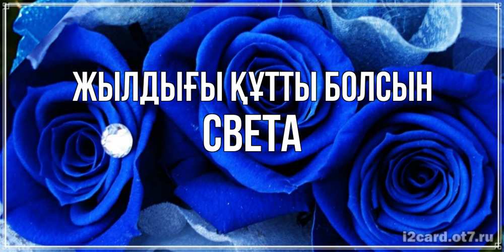 Күн сайын ашық хат с именем, Света Жылдығы құтты болсын синие розы в росе Онлайн тегін жүктеп алу тілектері бар керемет карта 