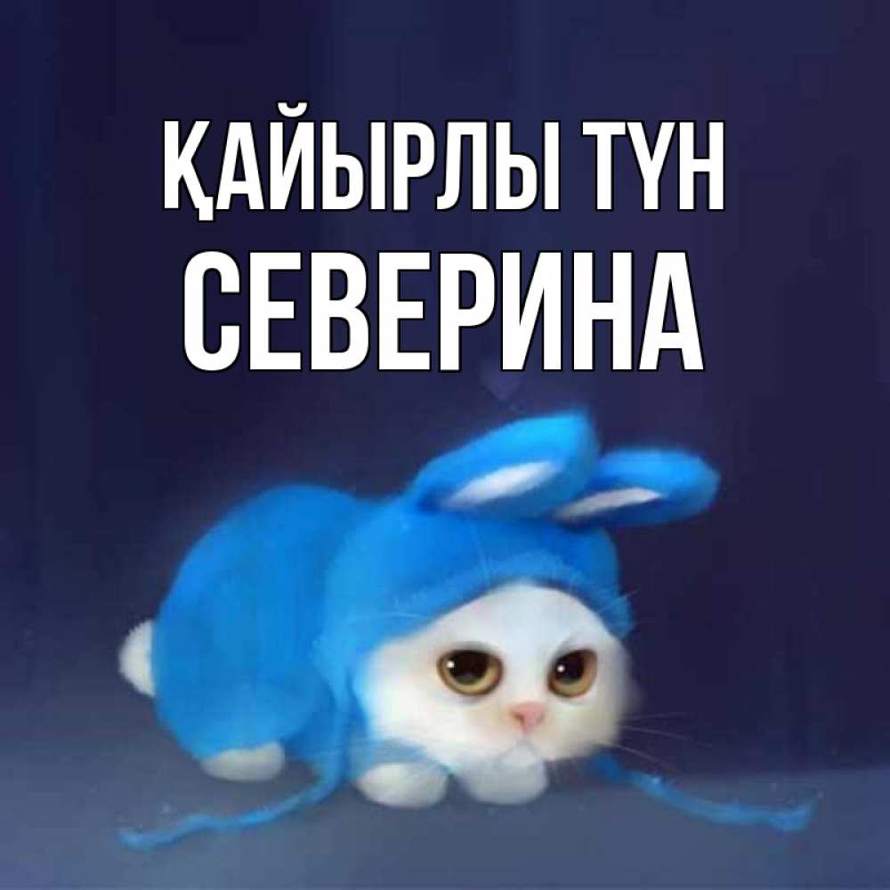 Күн сайын ашық хат с именем, Северина Қайырлы түн кот в голубом костюме кролика с ушками Онлайн тегін жүктеп алу тілектері бар керемет карта 