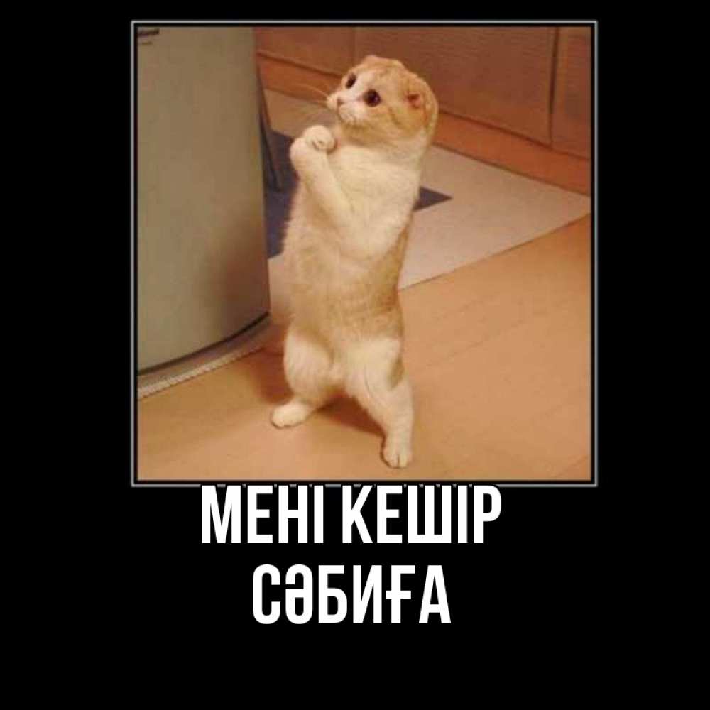 Күн сайын ашық хат с именем, СӘБИҒА Мені кешір открытка с милым несчастным котиком просящим прощения Онлайн тегін жүктеп алу тілектері бар керемет карта 
