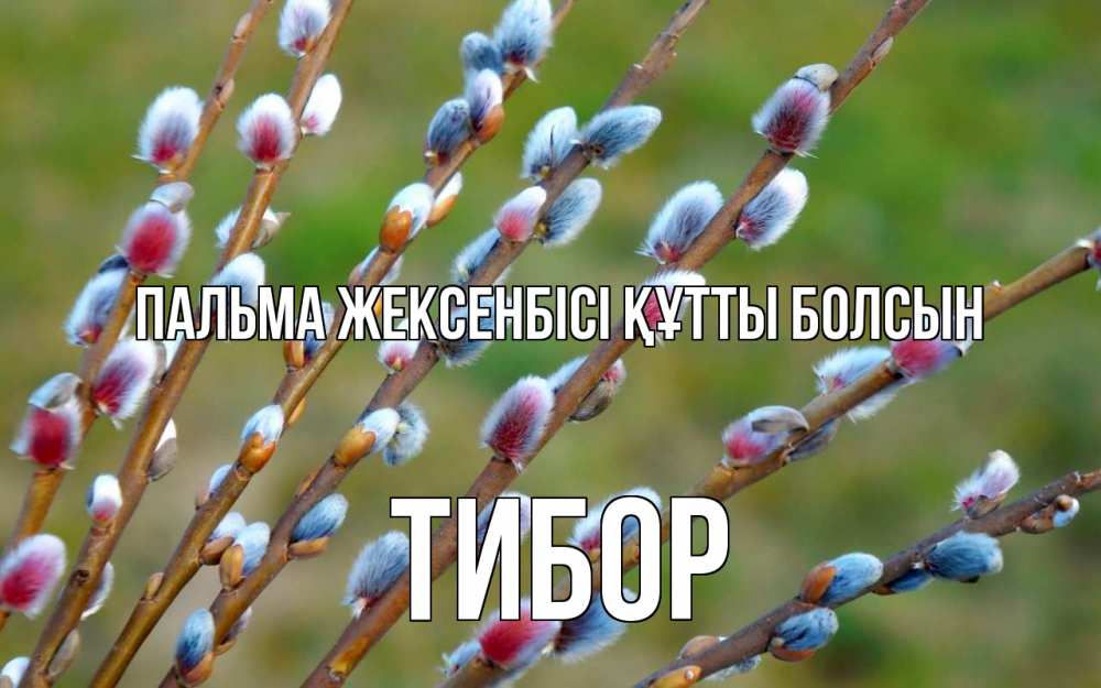 Күн сайын ашық хат с именем, Тибор Пальма жексенбісі құтты болсын верба Онлайн тегін жүктеп алу тілектері бар керемет карта 