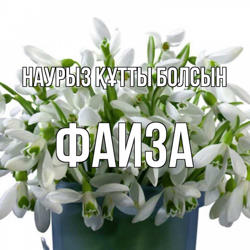 Күн сайын ашық хат с именем, Фаиза Наурыз құтты болсын цветы к наурызу Онлайн тегін жүктеп алу тілектері бар керемет карта 