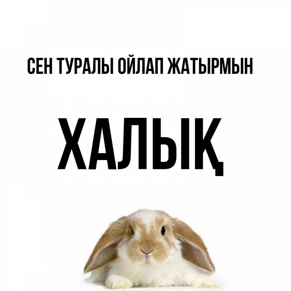 Күн сайын ашық хат с именем, ХАЛЫҚ Сен туралы ойлап жатырмын подписать своими руками онлайн Онлайн тегін жүктеп алу тілектері бар керемет карта 