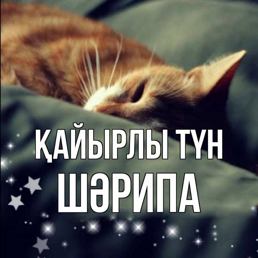Күн сайын ашық хат с именем, ШӘРИПА Қайырлы түн кроватка Онлайн тегін жүктеп алу тілектері бар керемет карта 