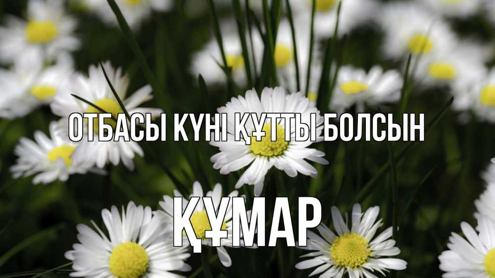 Күн сайын ашық хат с именем, ҚҰМАР отбасы күні құтты болсын с днем семьи  2 Онлайн тегін жүктеп алу тілектері бар керемет карта 