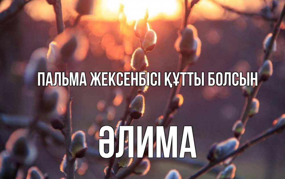 Күн сайын ашық хат с именем, ӘЛИМА Пальма жексенбісі құтты болсын верба Онлайн тегін жүктеп алу тілектері бар керемет карта 