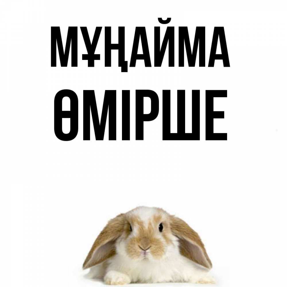 Күн сайын ашық хат с именем, ӨМІРШЕ Мұңайма коричнево белый заяц с большими ушками Онлайн тегін жүктеп алу тілектері бар керемет карта 