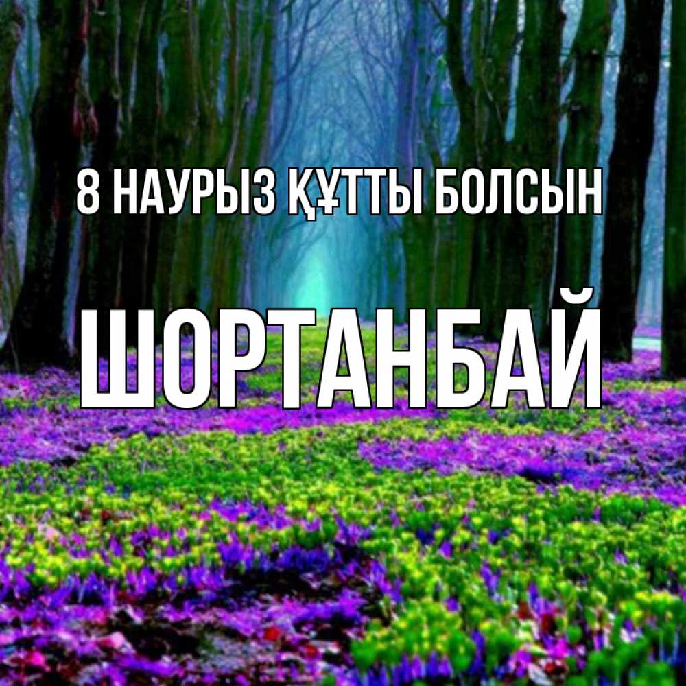 Күн сайын ашық хат с именем, ШОРТАНБАЙ 8 наурыз құтты болсын фиолетовые цветы в лесу 1 Онлайн тегін жүктеп алу тілектері бар керемет карта 