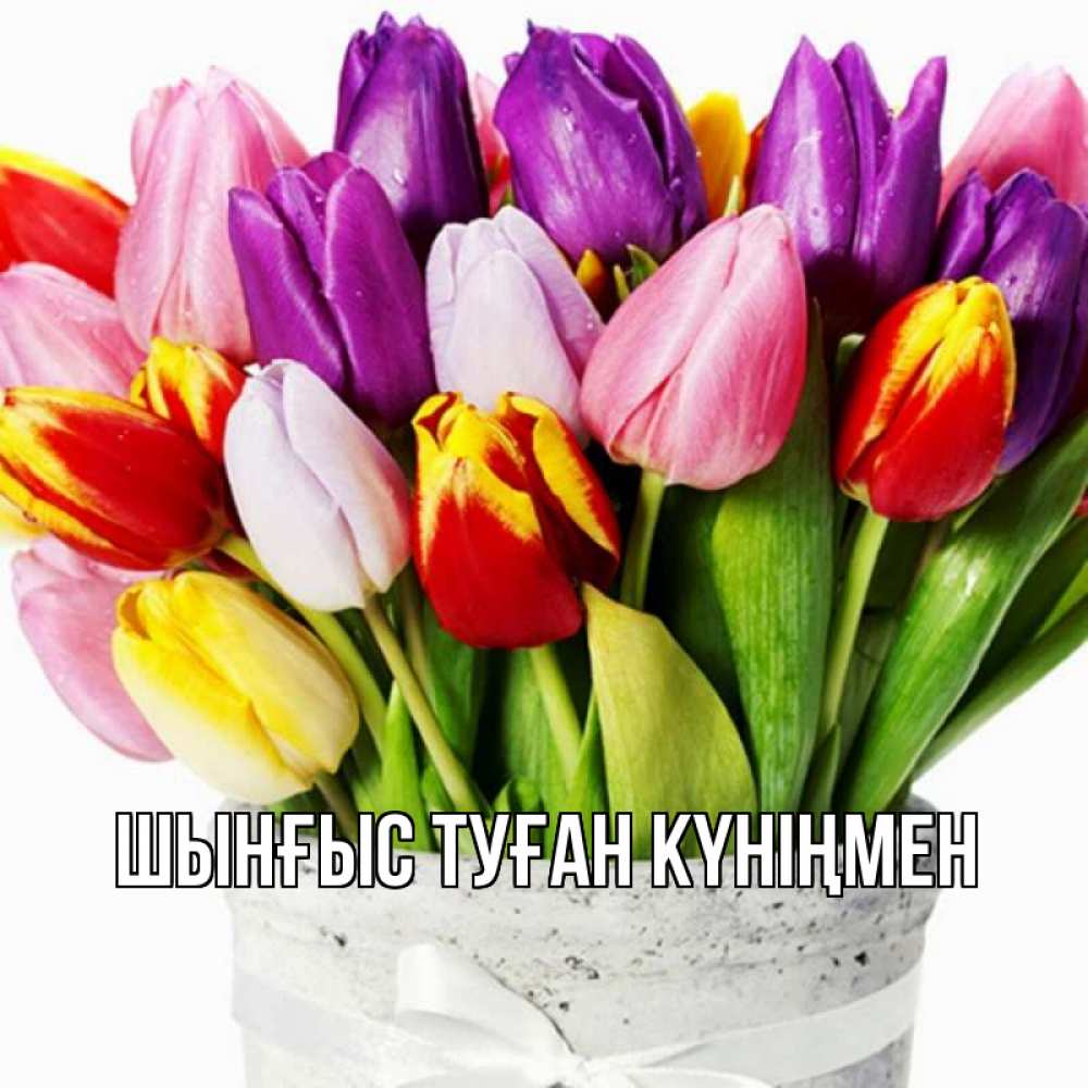 Картинка  с именем , ШЫНҒЫС! ТУҒАН КҮНІҢМЕН!
