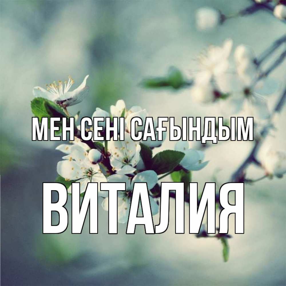 Күн сайын ашық хат с именем, Виталия Мен сені сағындым весна Онлайн тегін жүктеп алу тілектері бар керемет карта 