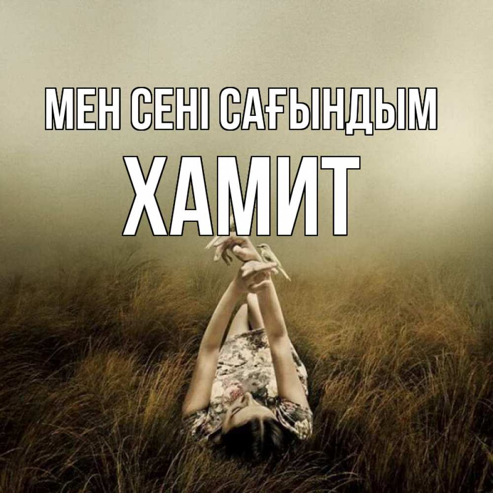 Күн сайын ашық хат с именем, ХАМИТ Мен сені сағындым девушка с голубями Онлайн тегін жүктеп алу тілектері бар керемет карта 