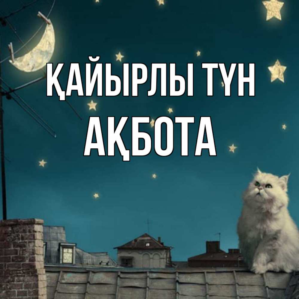 Күн сайын ашық хат с именем, Ақбота Қайырлы түн белый кот сидит на крыше Онлайн тегін жүктеп алу тілектері бар керемет карта 