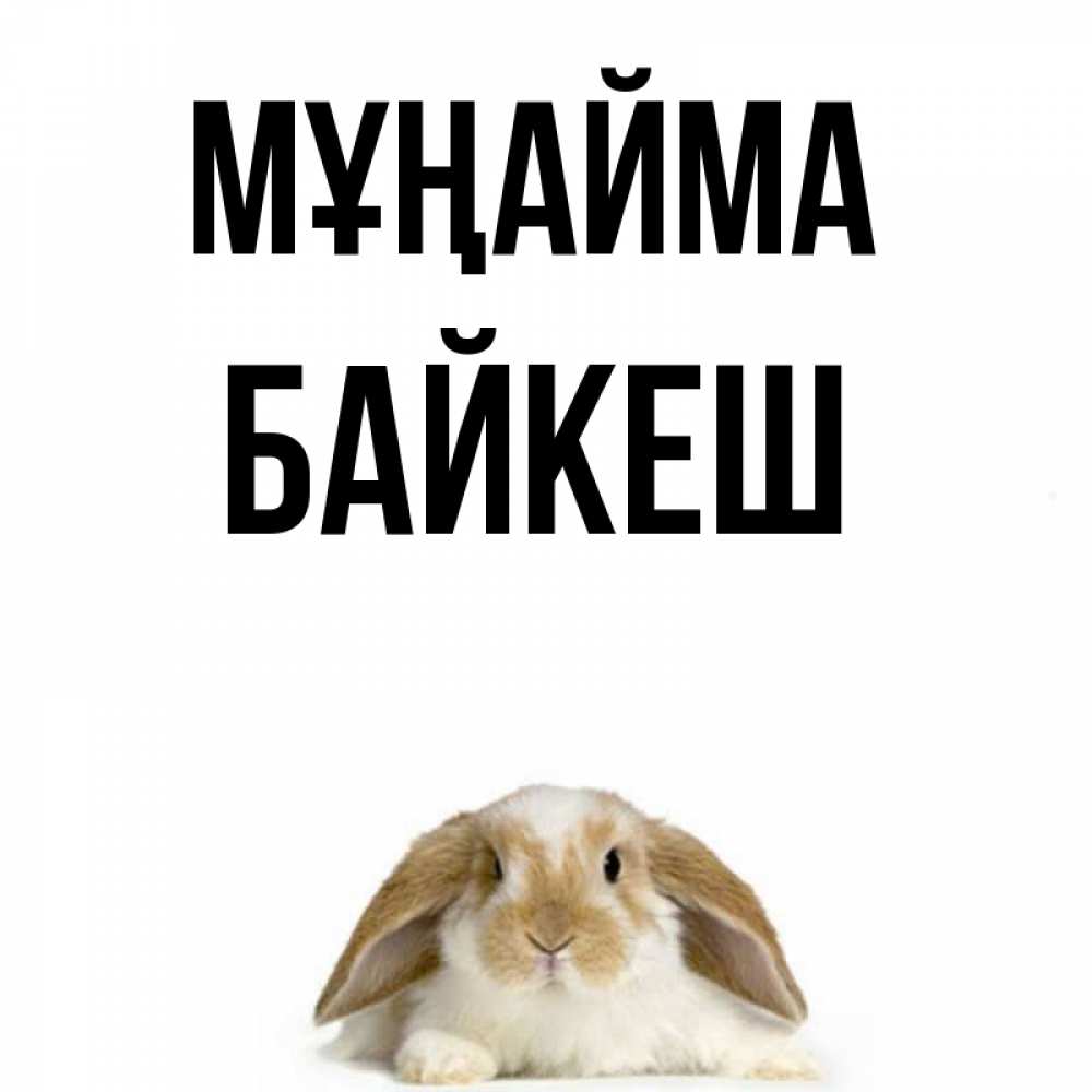 Күн сайын ашық хат с именем, Байкеш Мұңайма коричнево белый заяц с большими ушками Онлайн тегін жүктеп алу тілектері бар керемет карта 