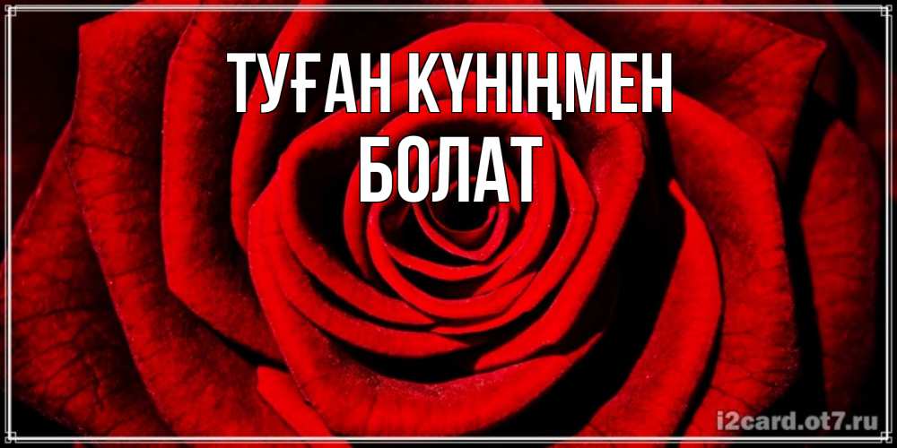 Күн сайын ашық хат с именем, Болат Туған күніңмен алая роза Онлайн тегін жүктеп алу тілектері бар керемет карта 