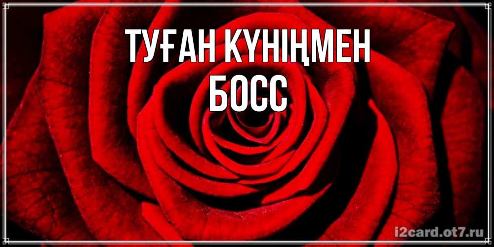 Күн сайын ашық хат с именем, Босс Туған күніңмен алая роза Онлайн тегін жүктеп алу тілектері бар керемет карта 