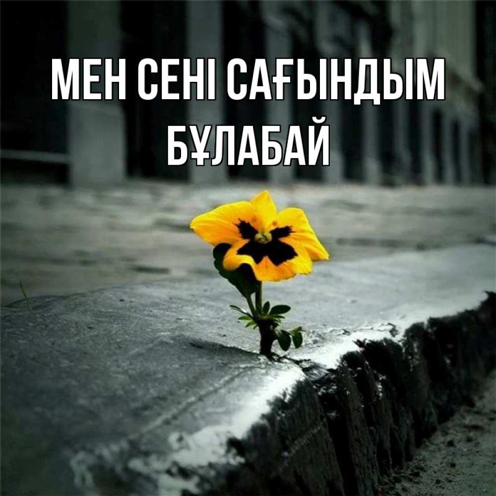 Күн сайын ашық хат с именем, Бұлабай Мен сені сағындым надеюсь будет лучше Онлайн тегін жүктеп алу тілектері бар керемет карта 