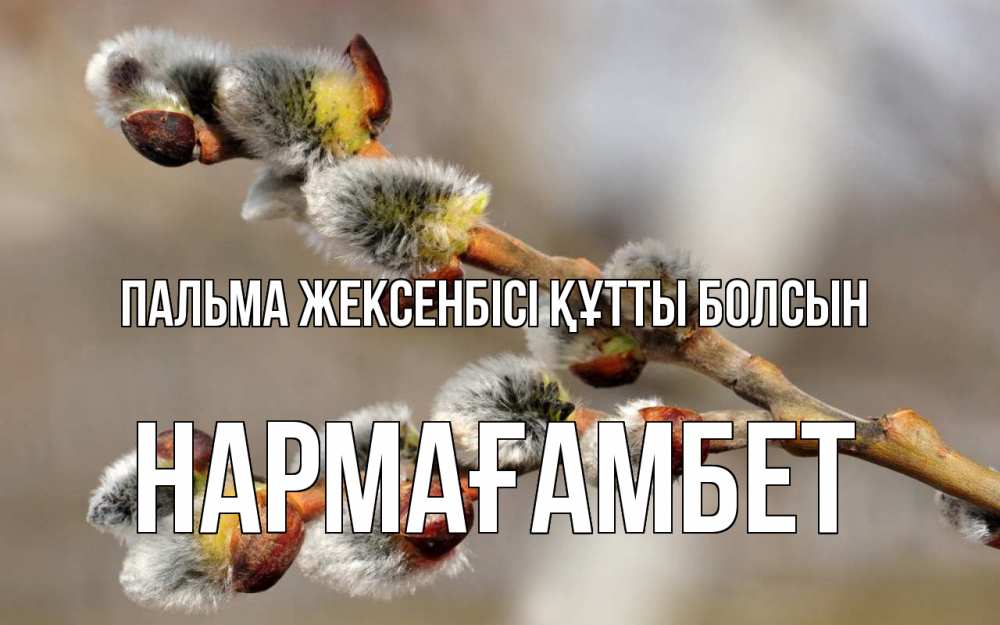 Күн сайын ашық хат с именем, НАРМАҒАМБЕТ Пальма жексенбісі құтты болсын Верба Онлайн тегін жүктеп алу тілектері бар керемет карта 