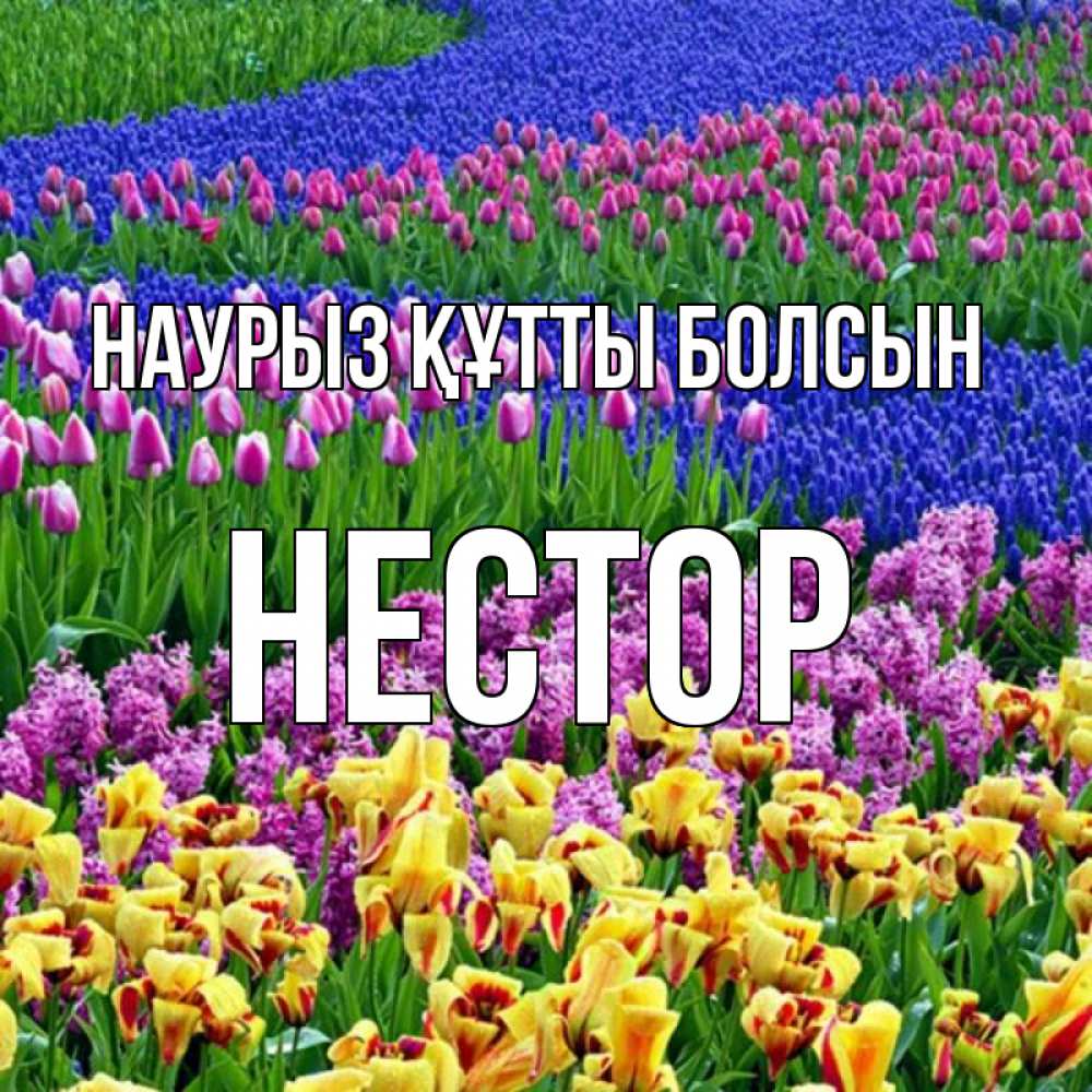 Күн сайын ашық хат с именем, Нестор Наурыз құтты болсын цветы Онлайн тегін жүктеп алу тілектері бар керемет карта 