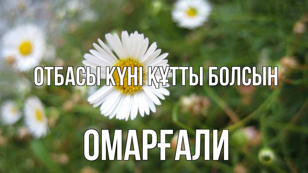 Күн сайын ашық хат с именем, ОМАРҒАЛИ отбасы күні құтты болсын с днем семьи Онлайн тегін жүктеп алу тілектері бар керемет карта 