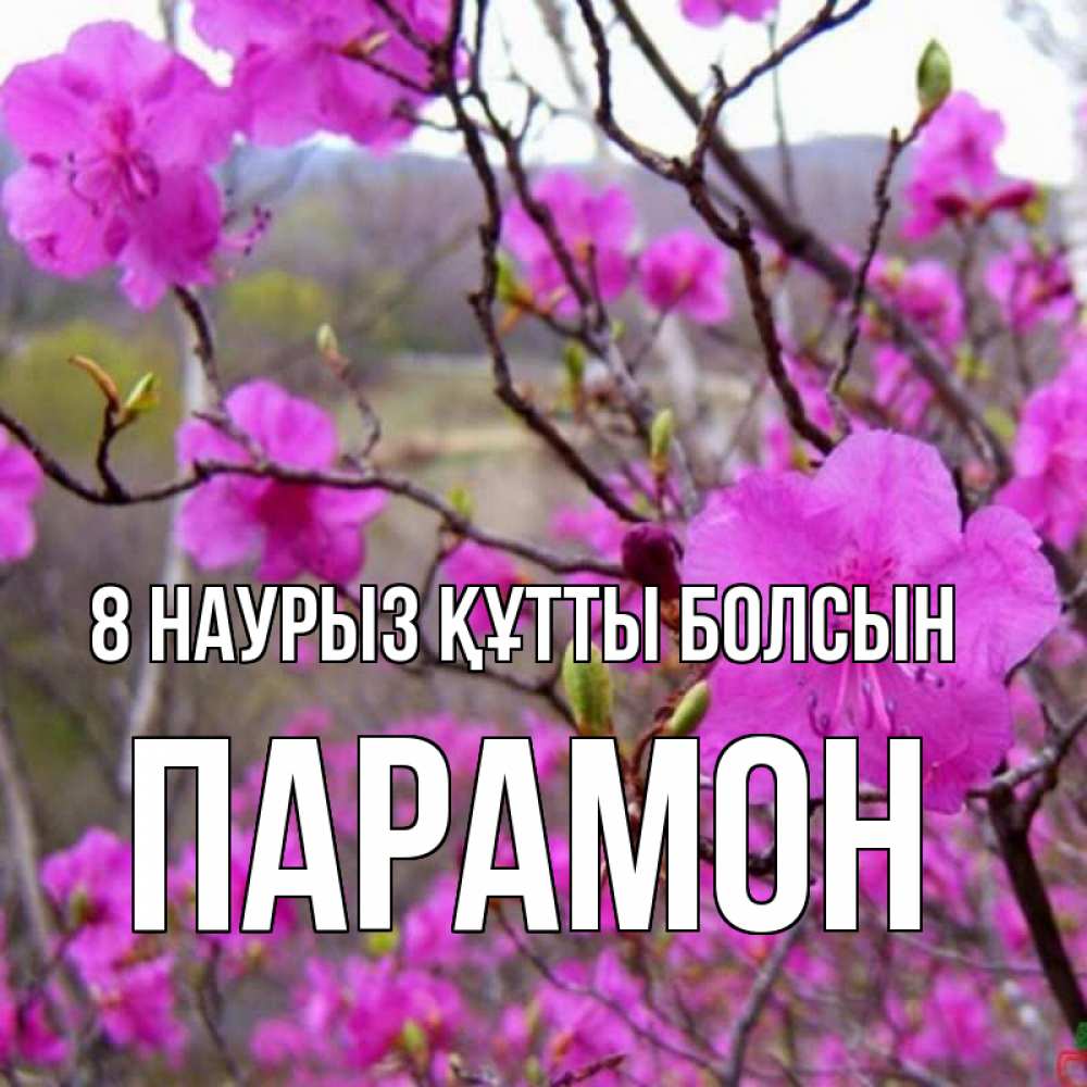 Күн сайын ашық хат с именем, Парамон 8 наурыз құтты болсын международный женский день Онлайн тегін жүктеп алу тілектері бар керемет карта 