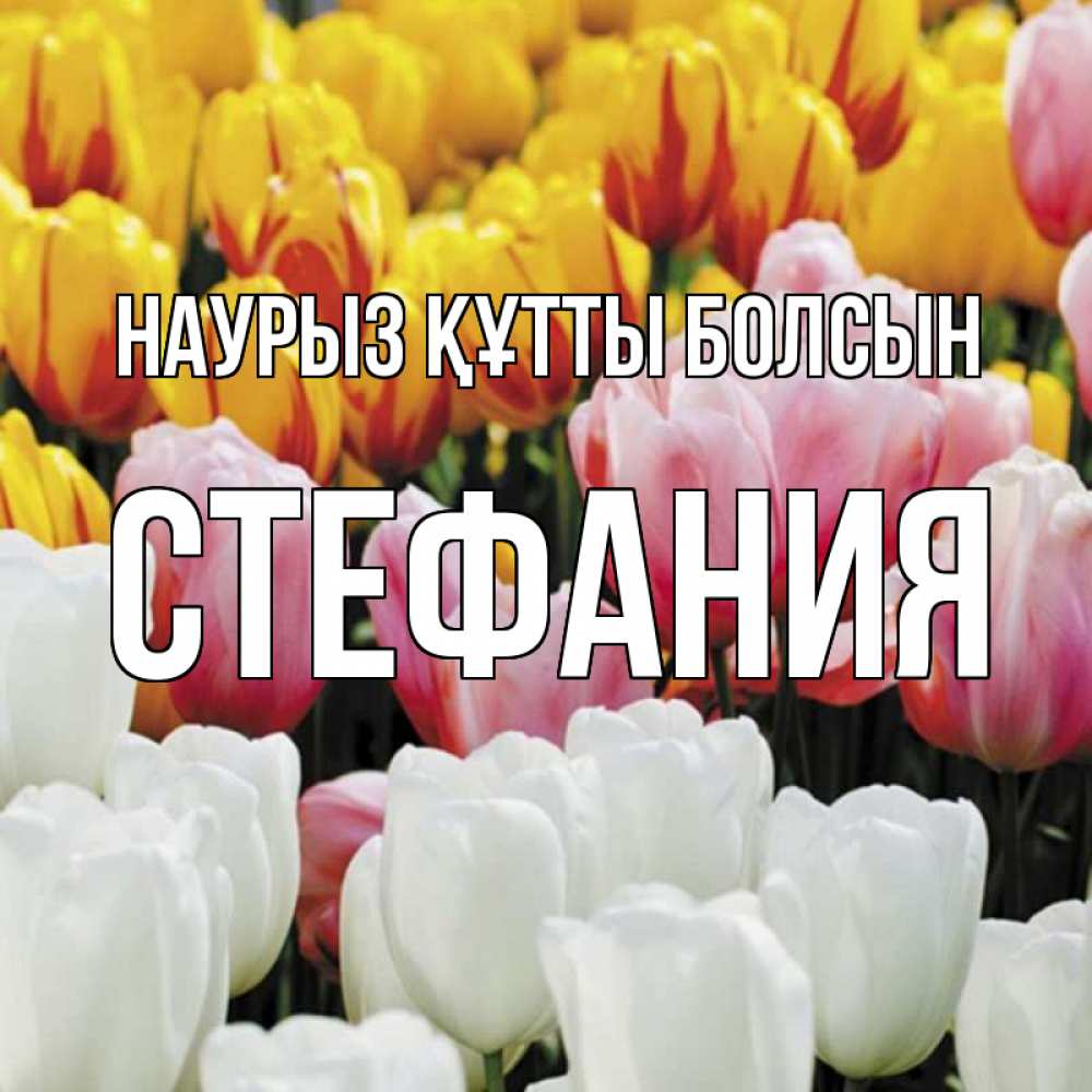 Күн сайын ашық хат с именем, Стефания Наурыз құтты болсын разноцветные цветы Онлайн тегін жүктеп алу тілектері бар керемет карта 