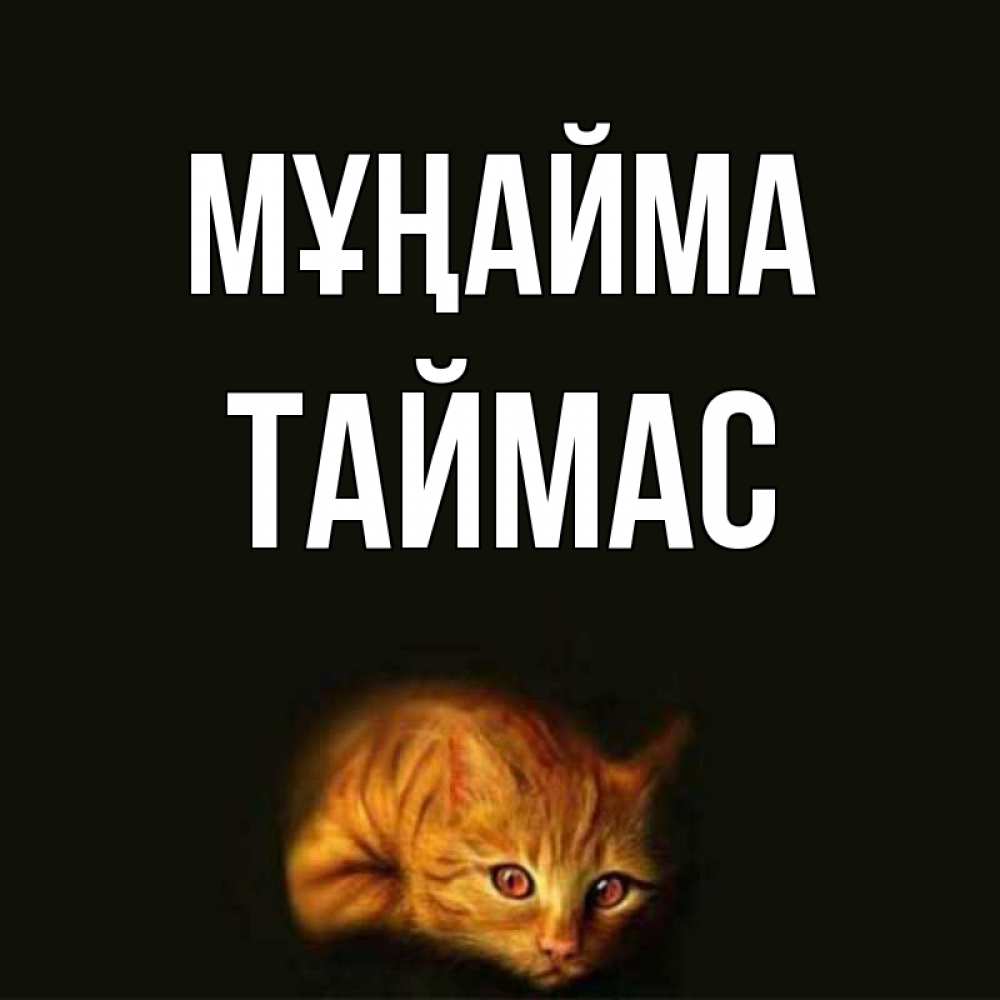 Күн сайын ашық хат с именем, ТАЙМАС Мұңайма лежащий кот в темноте Онлайн тегін жүктеп алу тілектері бар керемет карта 