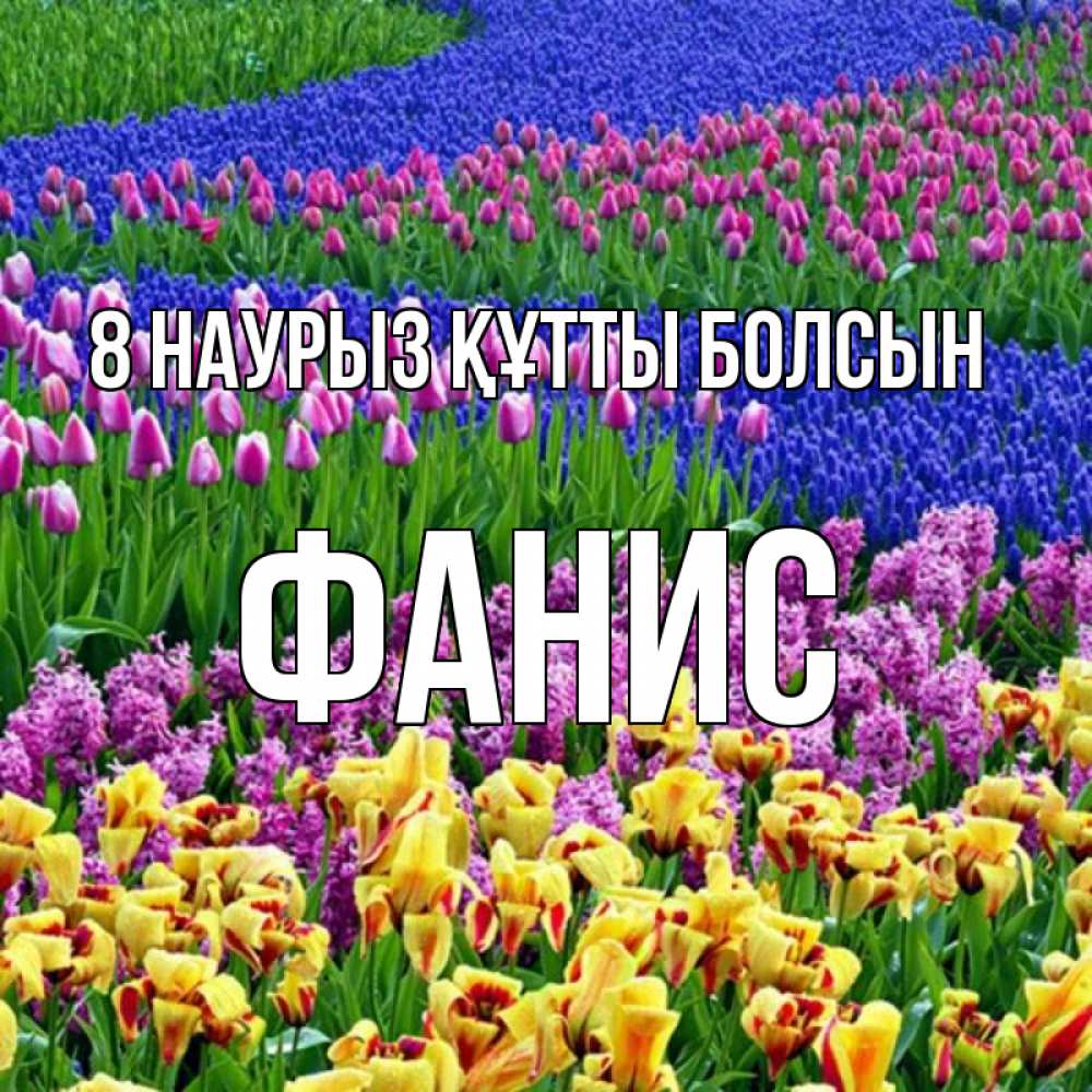 Күн сайын ашық хат с именем, Фанис 8 наурыз құтты болсын цветы Онлайн тегін жүктеп алу тілектері бар керемет карта 