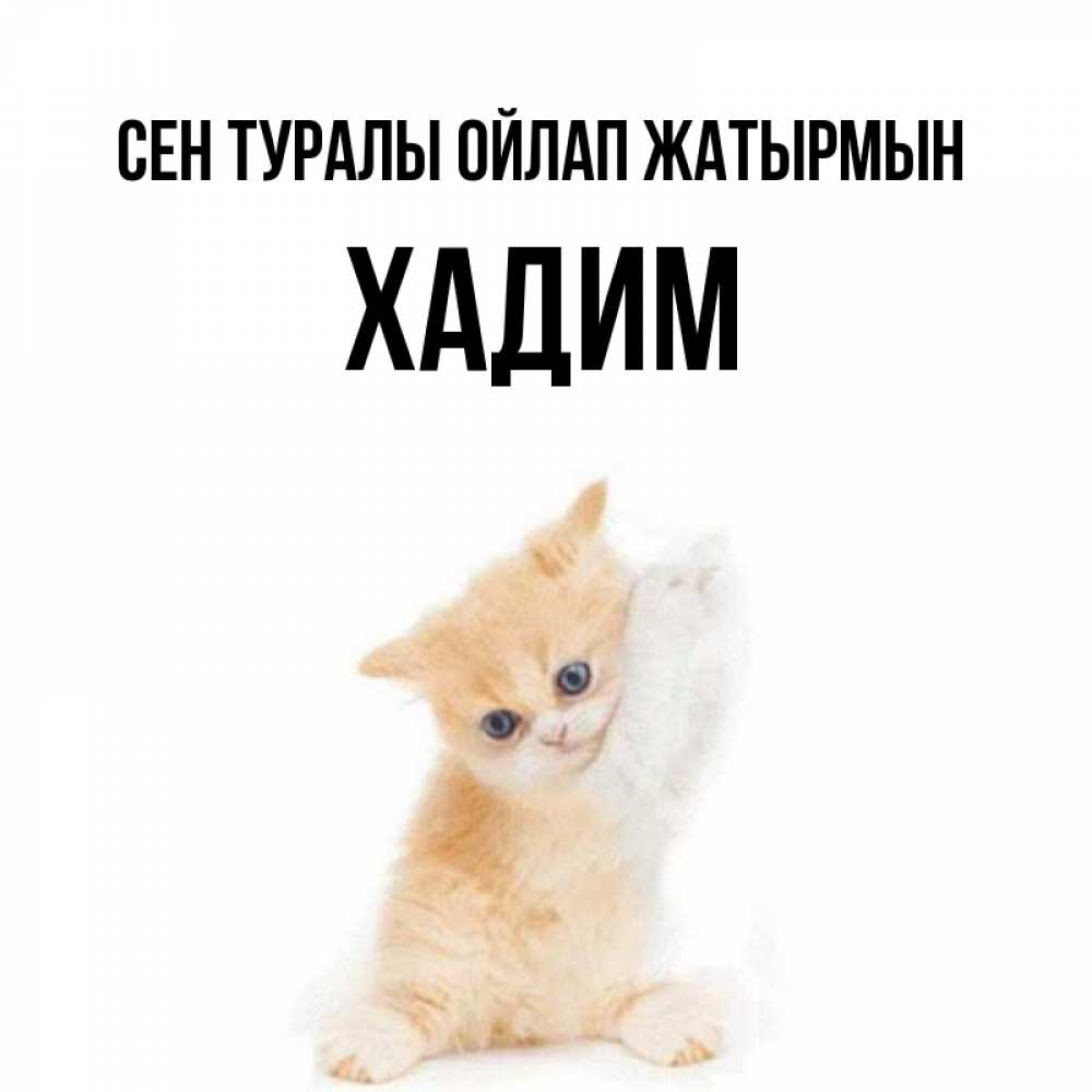 Күн сайын ашық хат с именем, ХАДИМ Сен туралы ойлап жатырмын зверушки и милота Онлайн тегін жүктеп алу тілектері бар керемет карта 