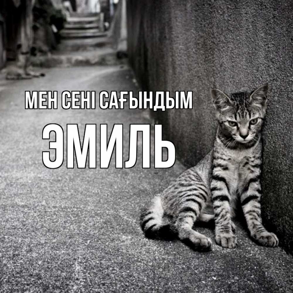 Күн сайын ашық хат с именем, Эмиль Мен сені сағындым одиноко котику Онлайн тегін жүктеп алу тілектері бар керемет карта 