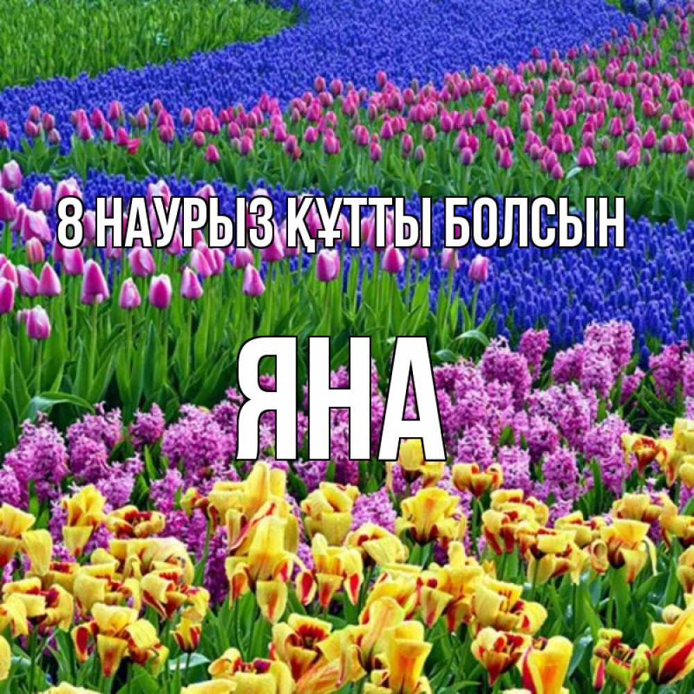 Күн сайын ашық хат с именем, Яна 8 наурыз құтты болсын цветы Онлайн тегін жүктеп алу тілектері бар керемет карта 