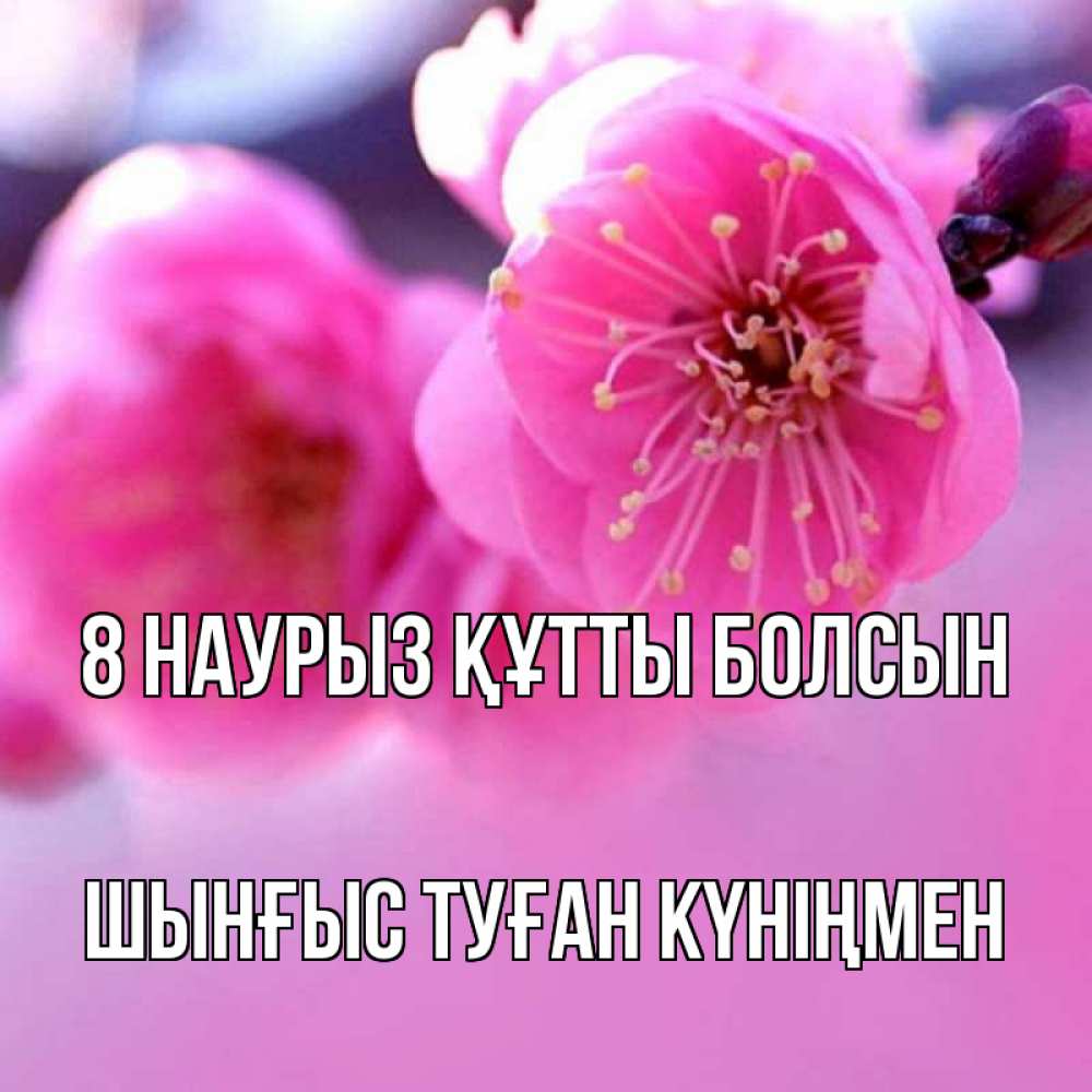 Картинка 8 наурыз құтты болсын, ШЫНҒЫС! ТУҒАН КҮНІҢМЕН!