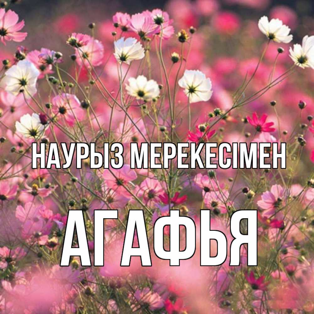 Күн сайын ашық хат с именем, Агафья Наурыз мерекесімен красиво 1 Онлайн тегін жүктеп алу тілектері бар керемет карта 