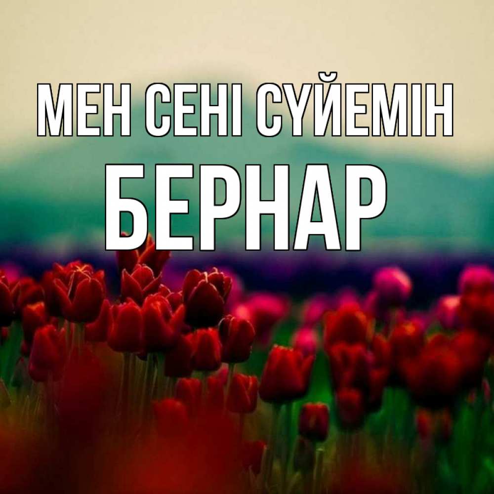 Күн сайын ашық хат с именем, Бернар Мен сені сүйемін тюльпаны 4 Онлайн тегін жүктеп алу тілектері бар керемет карта 