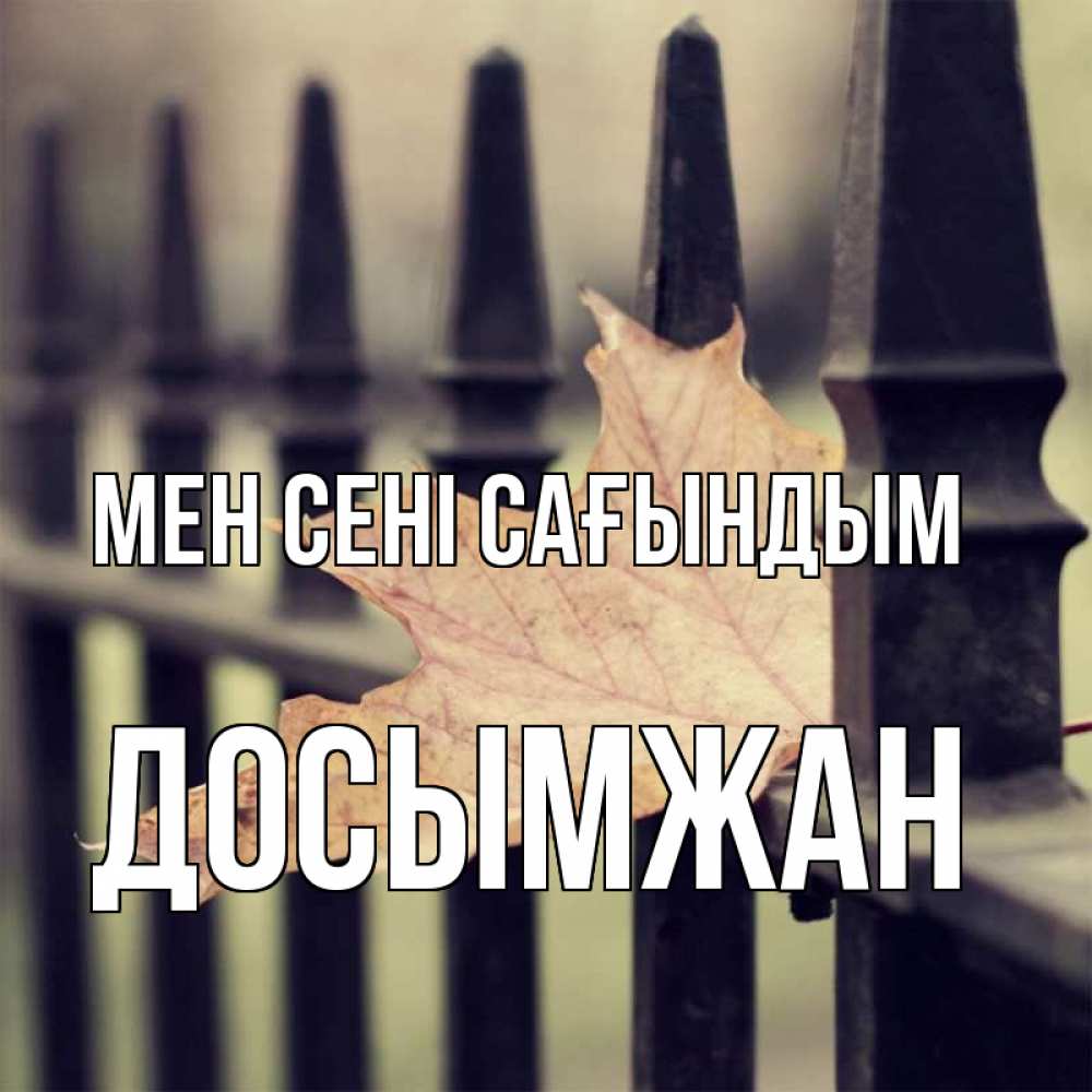 Күн сайын ашық хат с именем, Досымжан Мен сені сағындым очень скучно Онлайн тегін жүктеп алу тілектері бар керемет карта 