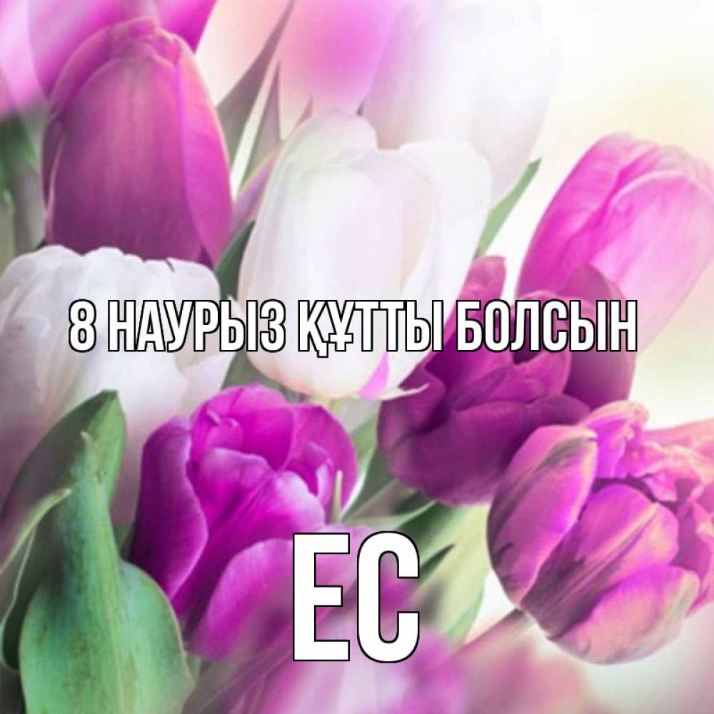 Күн сайын ашық хат с именем, Ес 8 наурыз құтты болсын весна 1 Онлайн тегін жүктеп алу тілектері бар керемет карта 