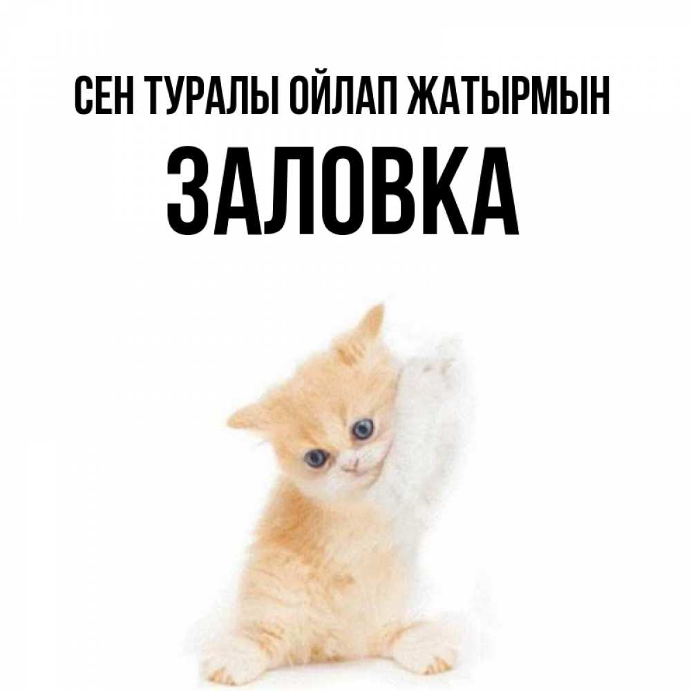 Күн сайын ашық хат с именем, Заловка Сен туралы ойлап жатырмын зверушки и милота Онлайн тегін жүктеп алу тілектері бар керемет карта 