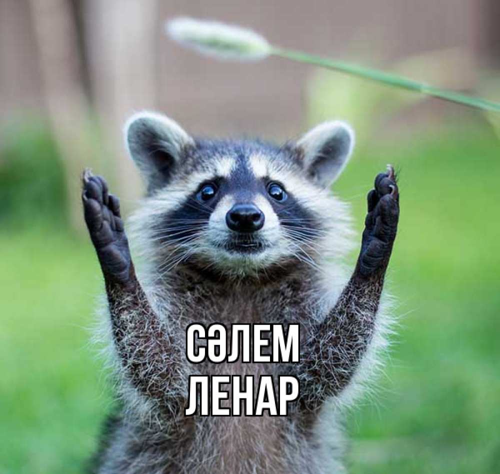 Күн сайын ашық хат с именем, Ленар Сәлем животные Онлайн тегін жүктеп алу тілектері бар керемет карта 